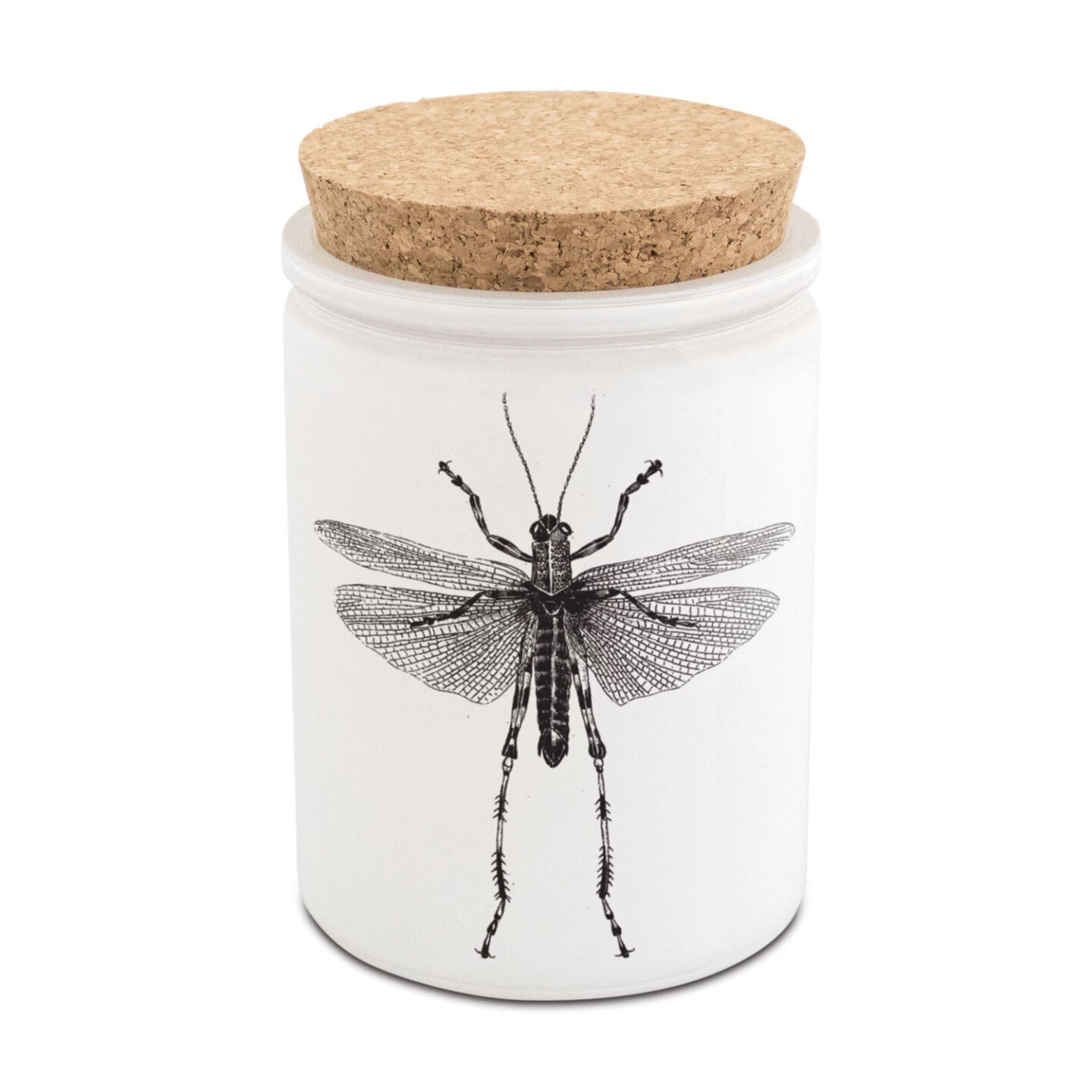 COOL FALL Phina candle.jpg